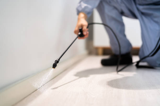 Licensed Termite Control service in Sewaren, NJ - Show Me Pest Control