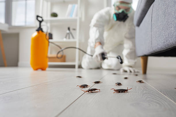 Commercial Rodent Management in Sewaren